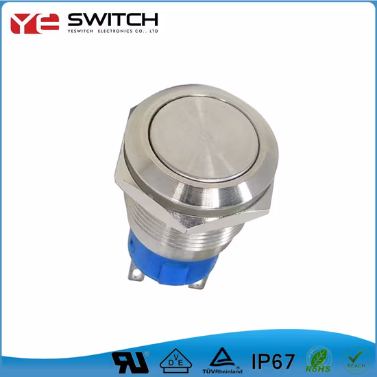 Tête ronde plate de commutateur en métal de bouton poussoir imperméable IP67 de 19mm avec l'individu momentané de LED